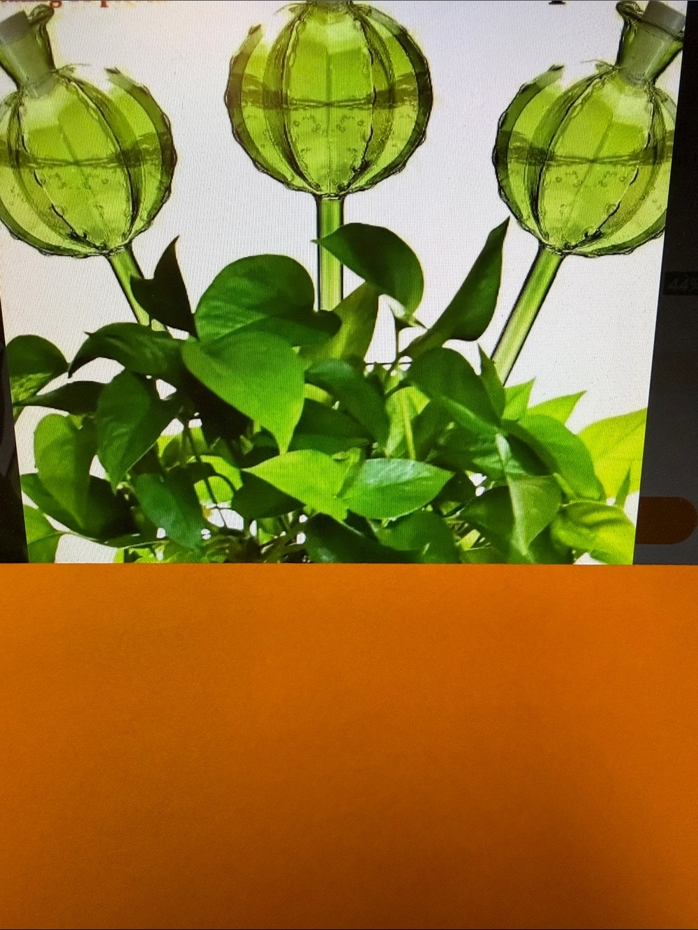 ❣️5/$25❣️ 2 Plant Watering Globe - Green Self-Release Drip Irrigator